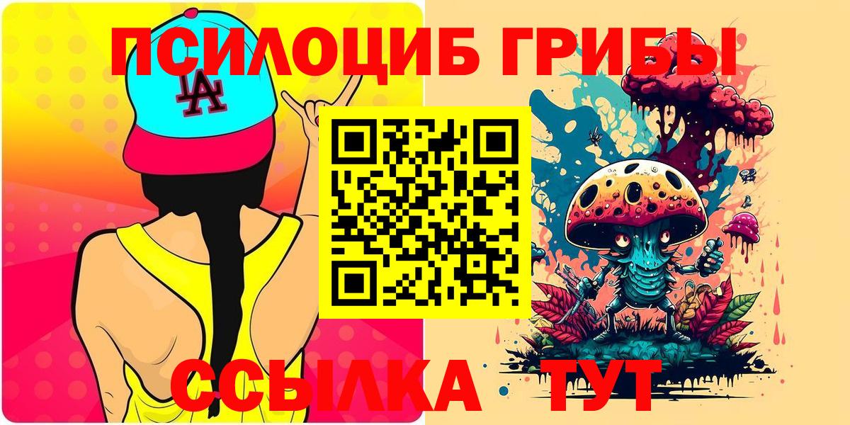 Галлюциногенные грибы Psilocybe  Вход с VPN  Снежинск 